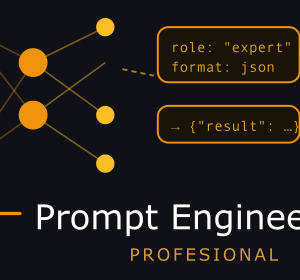 Prompt Engineering Profesional